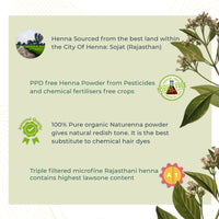 Naturenna Natural Henna — description