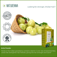 Naturenna Amla Powder — description