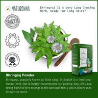 Naturenna Bhringraj Powder — gallery image